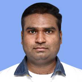Mr. Avadh Kumar (PLAS)